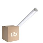 Multipack 12x Philips LED Waterproof Batten WT060C 20W 2500lm - 840 Cool White | 120cm