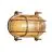 Nordlux Helford Wall Light Glass Brass | IP64 - Suitable for E27